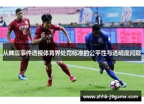 从魏震事件透视体育界处罚标准的公平性与透明度问题